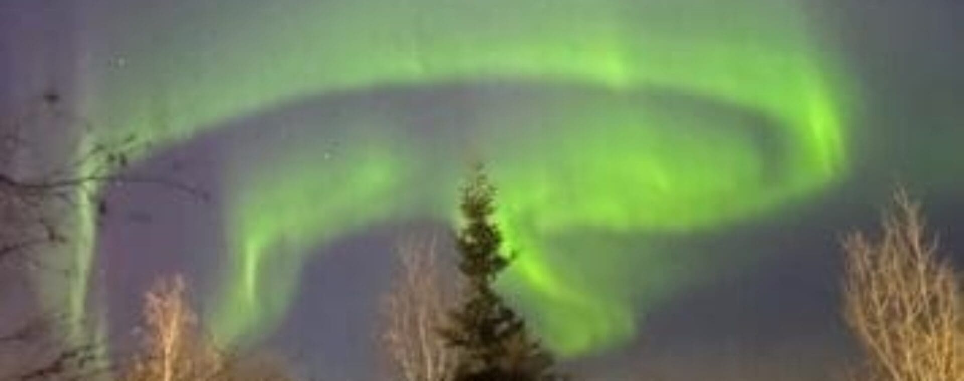 Auroras